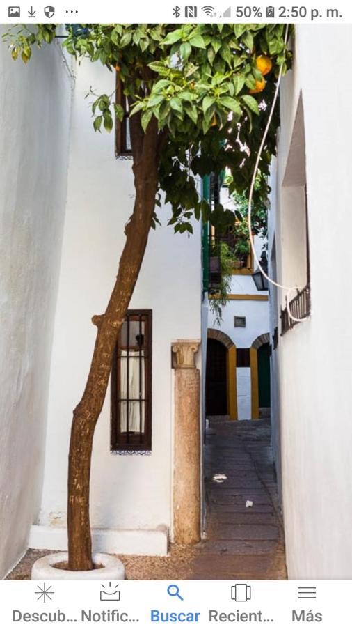 Ferienwohnung Centro-Mezquita 4 A 8 Huespedes Córdoba Exterior foto