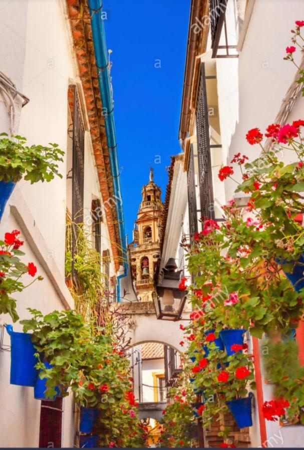 Ferienwohnung Centro-Mezquita 4 A 8 Huespedes Córdoba Exterior foto